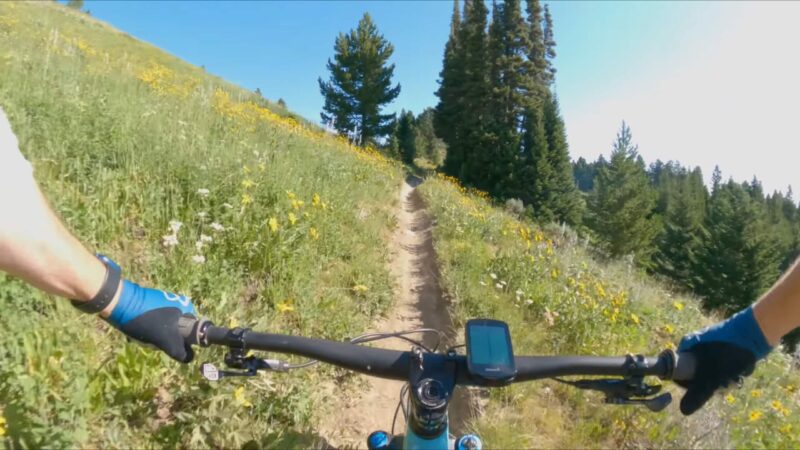 Bangtail Divide North Trail in Bozeman Montana