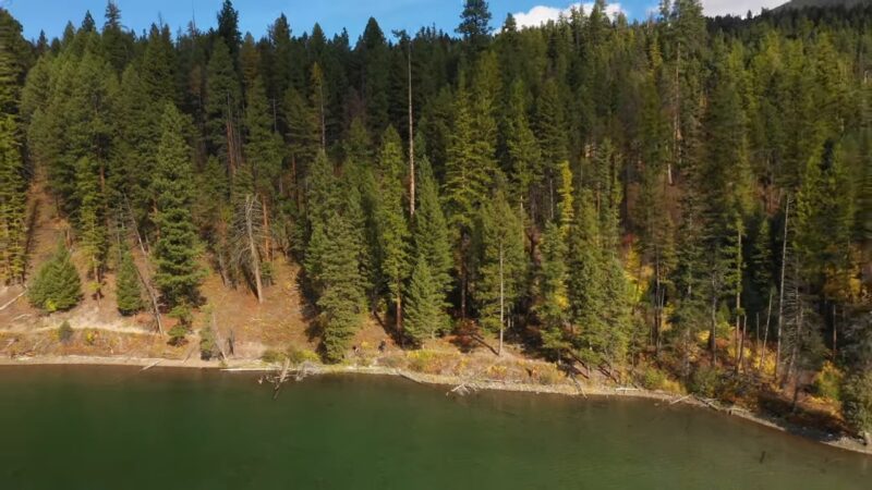 FLATHEAD National Forest Montana