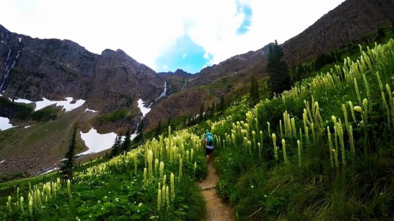 Glacier National Park's ecosystem