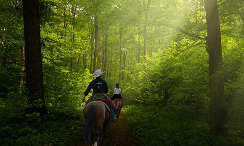 Horseback Riding in Glacier National Park