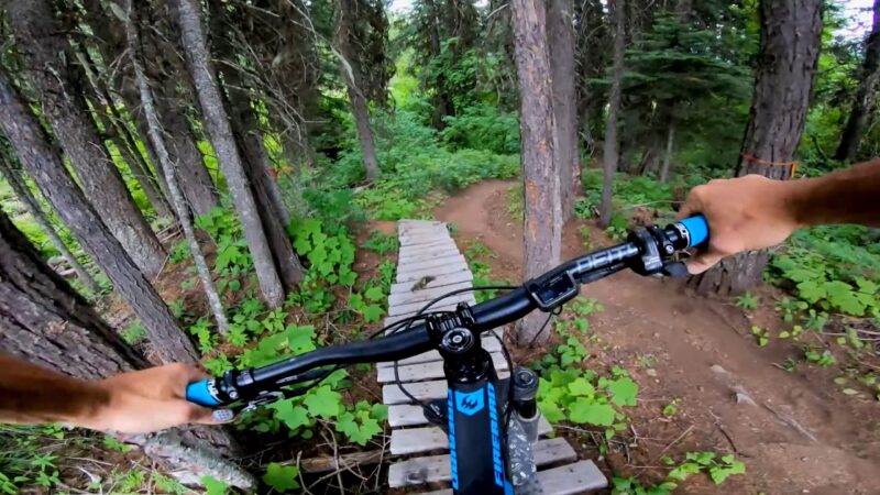 Whitefish trail in Montana