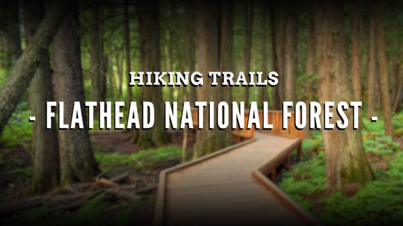 best hiking trails - Flathead National Forest - Escape to Adventure