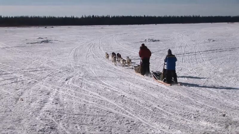 winter sports in Northwest Montana - Dog sledding