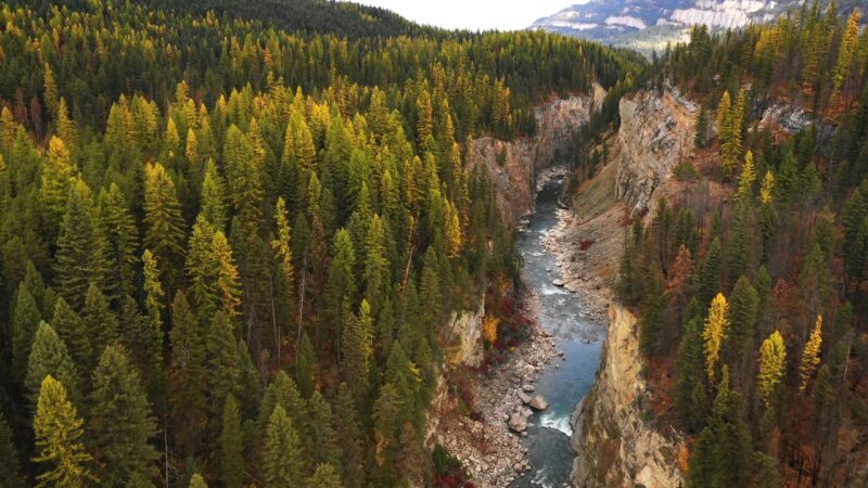 Flathead Valley