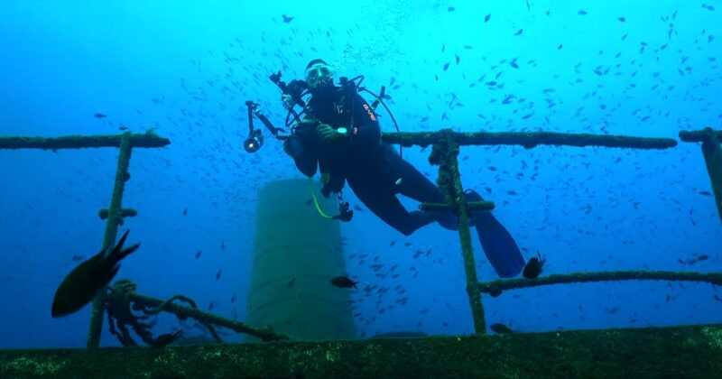 Underwater Adventures A Journey into the Mediterranean