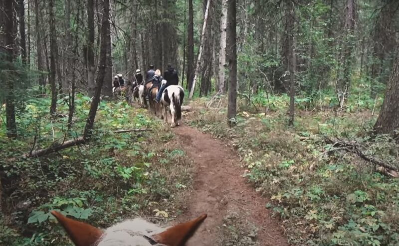 Trail condition in Glacier National Park.