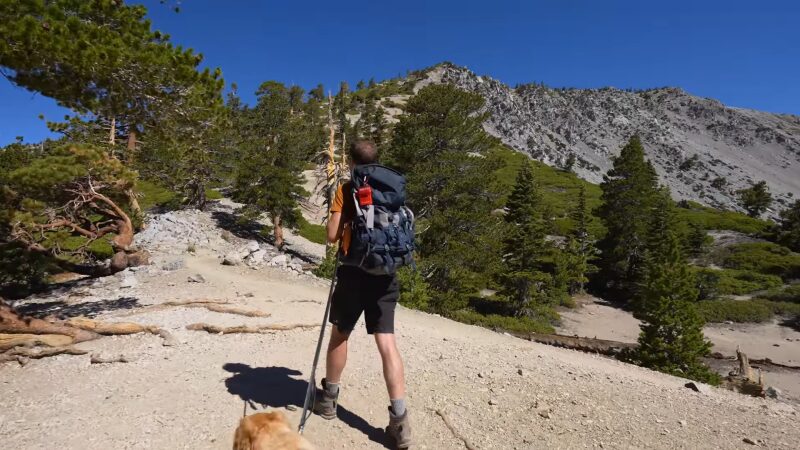 Baldy Peak Summit