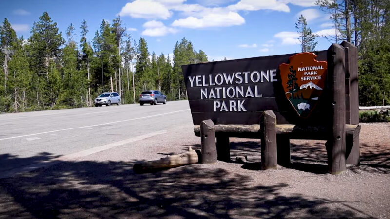 Yellowstone Trail Race 30 Miles - Montana - National Park Trail