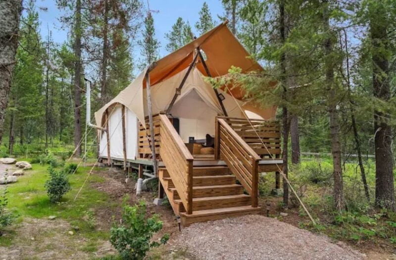 Glamping tent setup surrounded by trees near Glacier National Park