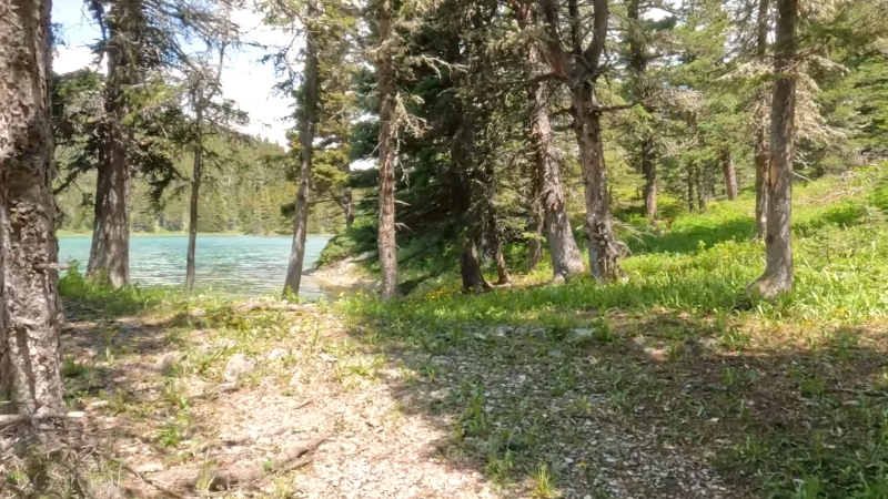 Trail through pines leads to a clear blue lake on one of Montana’s hidden hiking routes