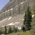 A hiker walks below towering cliffs and alpine trees on one of the scenic hiking trails in Montana
