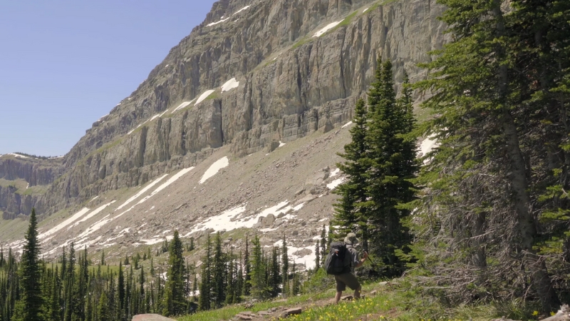 A hiker walks below towering cliffs and alpine trees on one of the scenic hiking trails in Montana