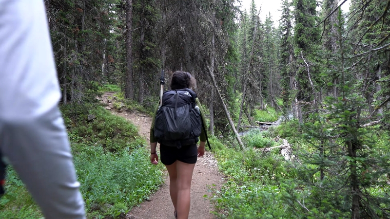 Hiker walking along a forest trail beside Hyalite Creek near Bozeman, Montana