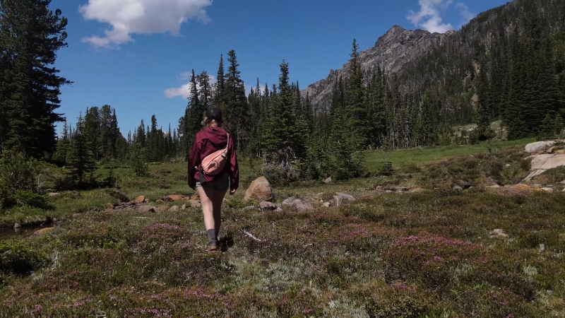 Hiker walks across an alpine meadow toward pines and rocky peaks on Lost Cabin Lake Trail #150 in Montana
