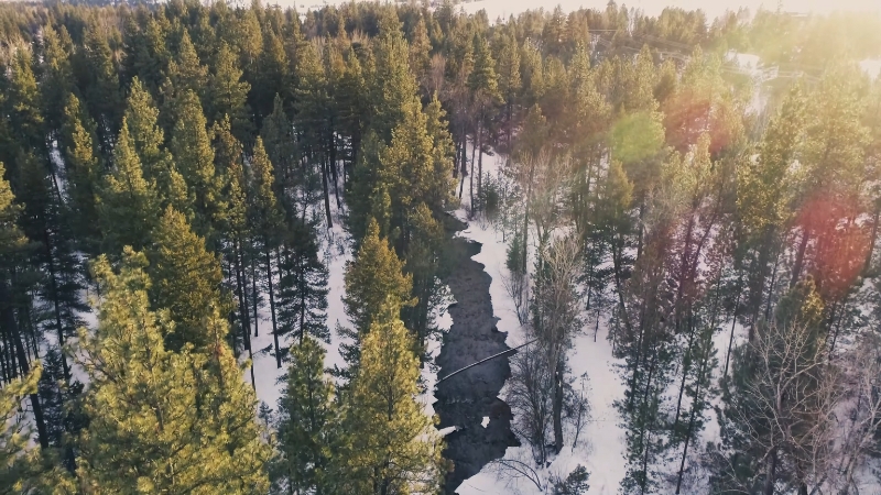 Creek flows through snowy forest in the Rattlesnake National Recreation Area side valleys