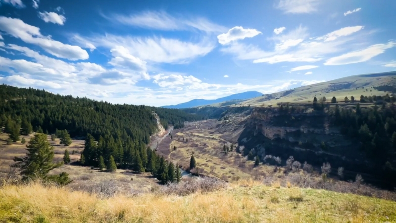 View of Belt Creek winding through a limestone canyon with pine-covered slopes at Sluice Boxes State Park, Montana