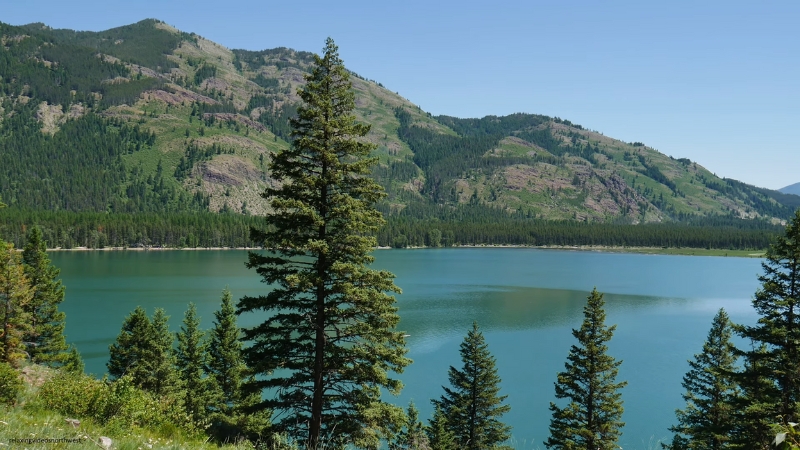 View of Hungry Horse Reservoir with clear blue water, pine trees, and forested mountains in the background