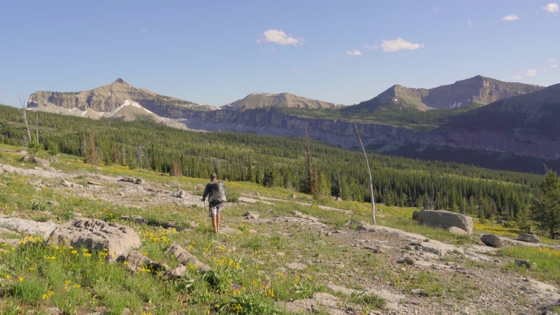 A hiker walks through an open alpine meadow in the Bob Marshall Wilderness