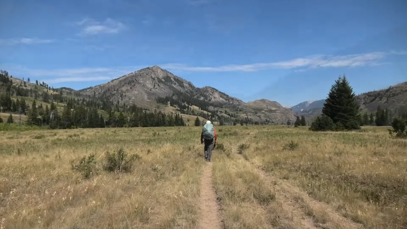 A backpacker walks along a narrow trail through open grassland in the Bob Marshall Wilderness
