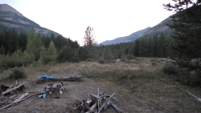 A quiet campsite in the Bob Marshall Wilderness sits near a forest edge with mountains in the distance