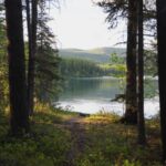 A quiet forest path opens to the calm shoreline of Kintla Lake in the North Fork region