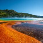 Bright orange and red microbial mats surrounding the turquoise waters of Grand Prismatic Spring, with steam rising and forested hills in the background