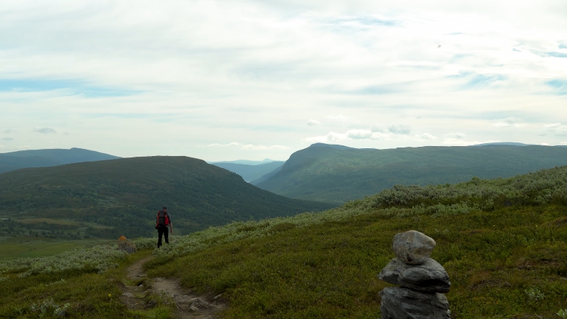 Hiker walking along a green mountain trail in Swedish Lapland