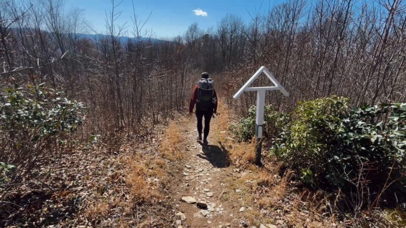 Hiker walks along the Appalachian Trail past a white trail marker in a wooded area