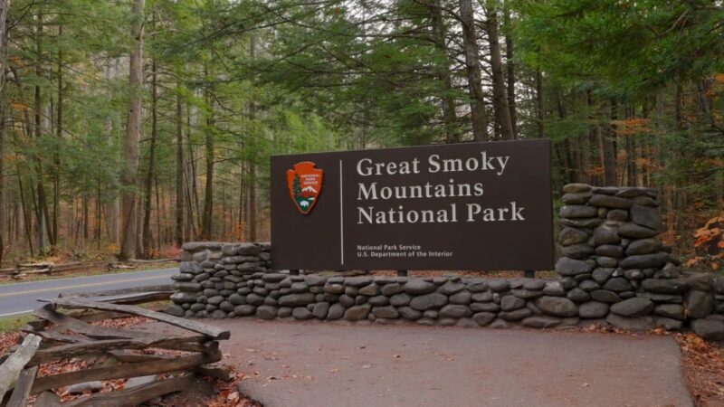 Entrance sign for Great Smoky Mountains National Park surrounded by forest and road