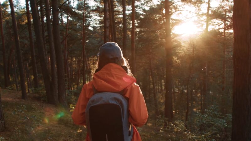 Backpacker walks through a forest on the Appalachian Trail during a multi day hike